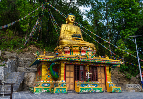 Pema Dechan Ling Temple (Buddha Statue), in Pokhara, Nepal photo