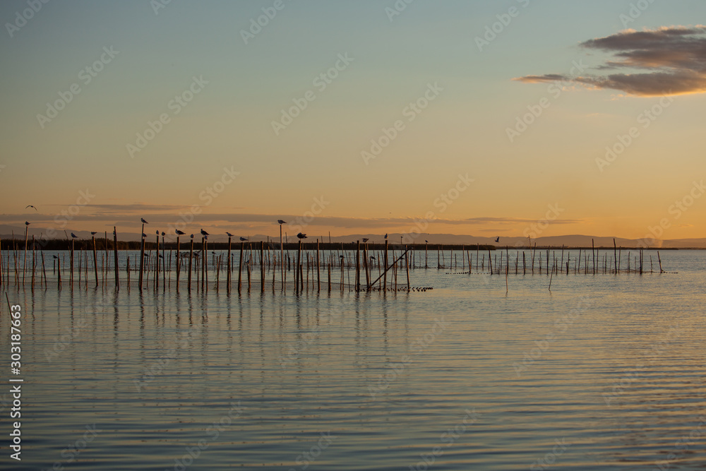 Albufera landscape at sunset