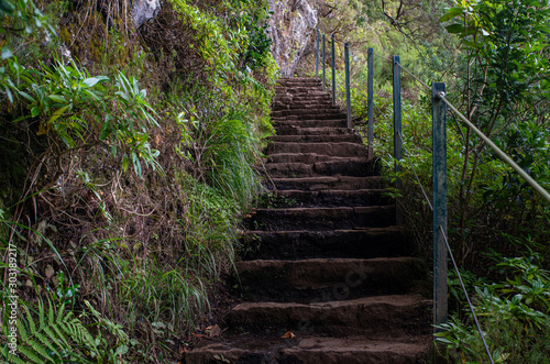 Hiking path in nature