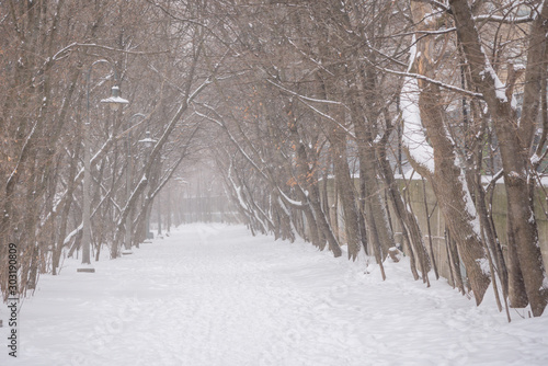 Winter snow storm in Toronto in February