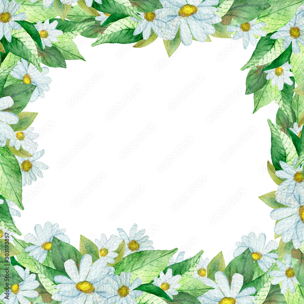 Watercolor hand painted nature squared border frame with white petals, yellow center chamomile flower and green leaves on the white background for invitation and greeting card with the space for text