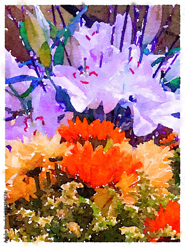 DW Flowers