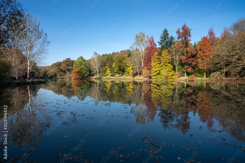 Autumn scene with reflection in lake, in istanbul, Turkey.