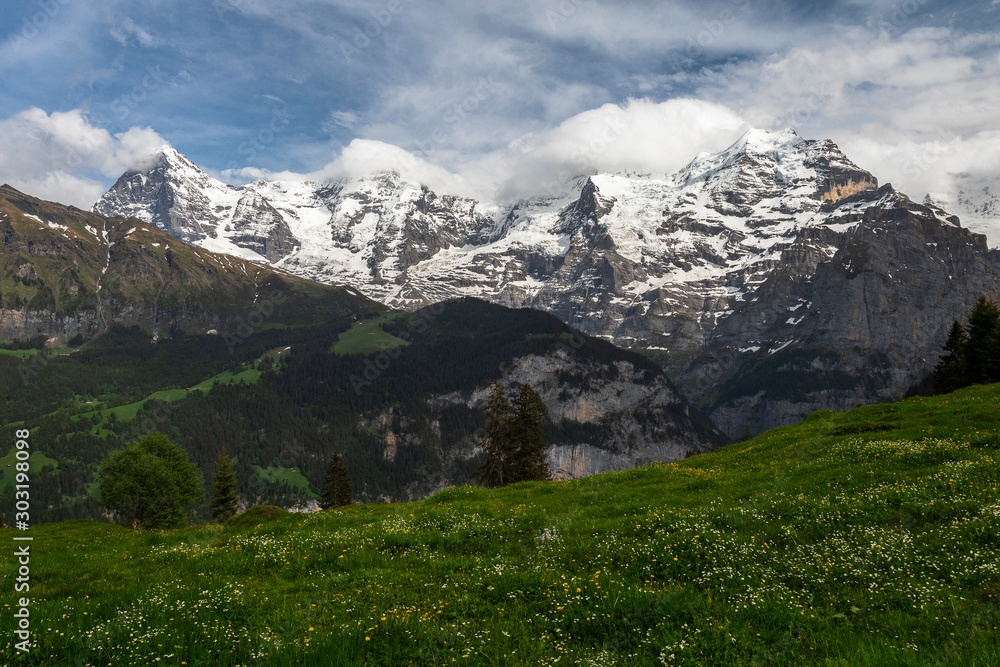 Swiss Alps7