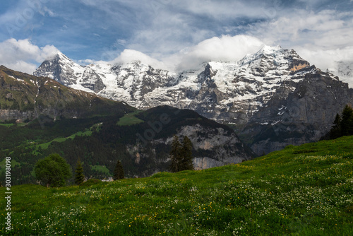 Swiss Alps7