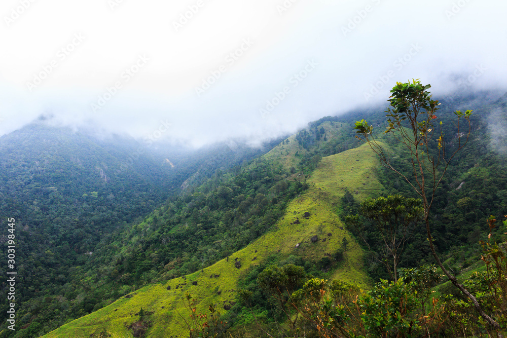 Landscape of a green mountain range 