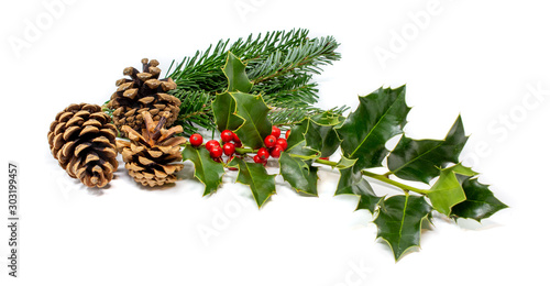 agrifoglio natalizio, ramo di pino e pigne su fondo bianco. aquifolium photo