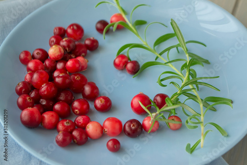 Natural organic cranberry berries in bright red color on blue plate.