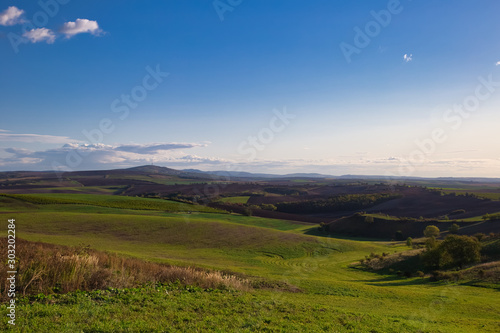 Agricultural landscape panorama