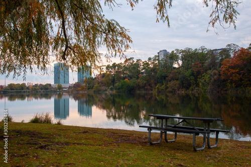 empty bench in the park