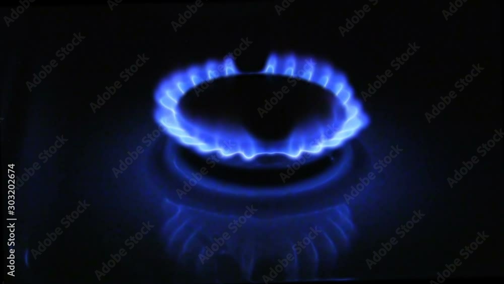 The appearance of a blue flame of gas. Gas stove on a black background The appearance of a blue flame of gas. Gas stove on a black background