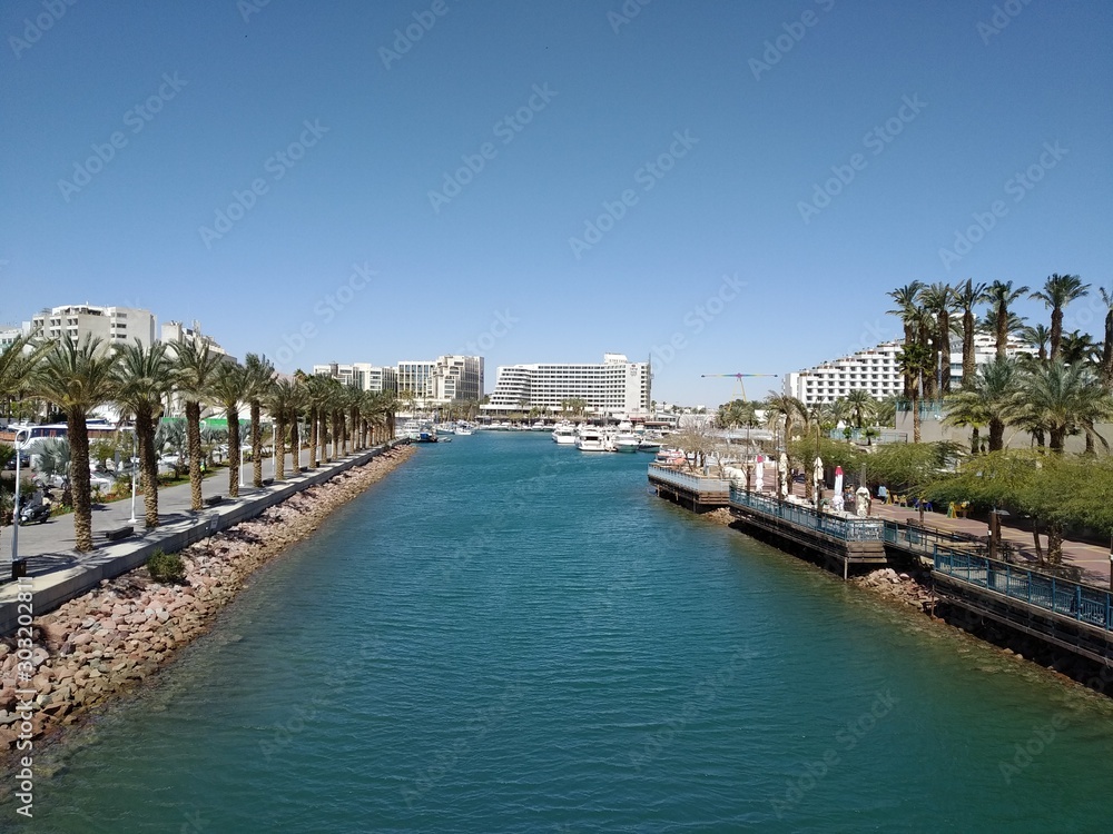 The palm alley of the embankment of the Lagoon of the city of Eilat. Israel, Eilat