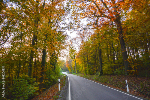 Autumn Street in the forest near Erlligheim  South of Germany