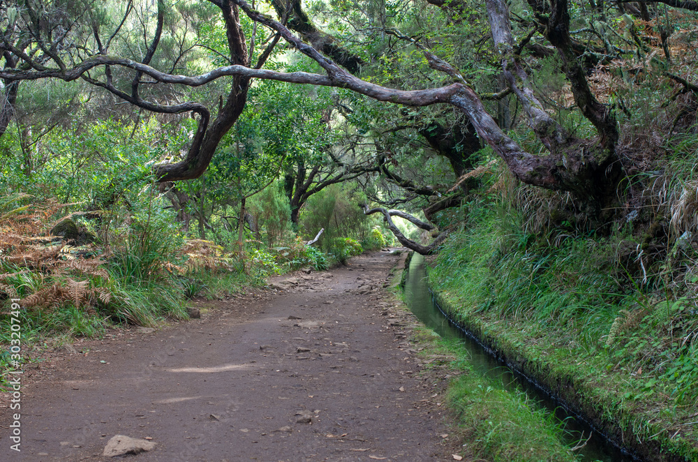 Fototapeta premium Irrigation canal levada