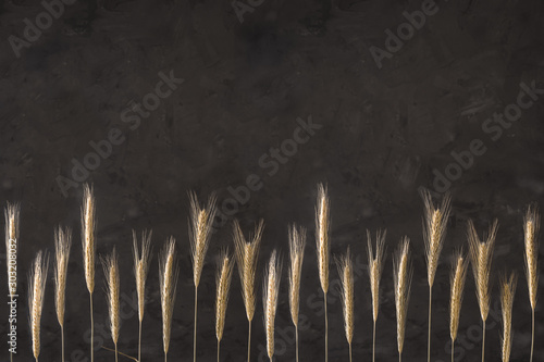 Dry ears of wheat on a stone background with copyspace photo