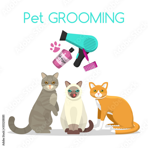 Pet care grooming banner vector illustration. Three cute cats with shampoo, brush and dryer. Web banner of pets grooming supplies.