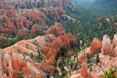 Bryce Canyon with trees between the famous rocks
