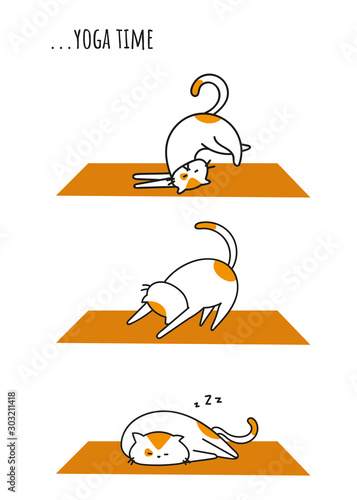 Funny cat doing yoga position, asana, zen with kitty. morning exercise