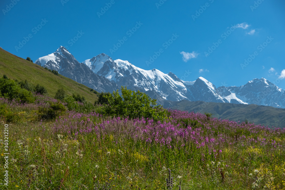 Adishi Glacier in Caucasus Mountain - popular trek in Svaneti, Georgia. 