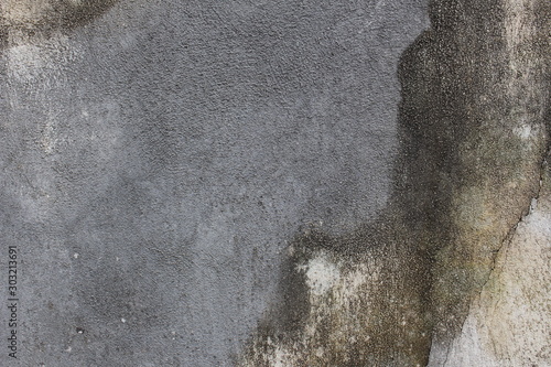 Rough concrete wall texture with lichen for background