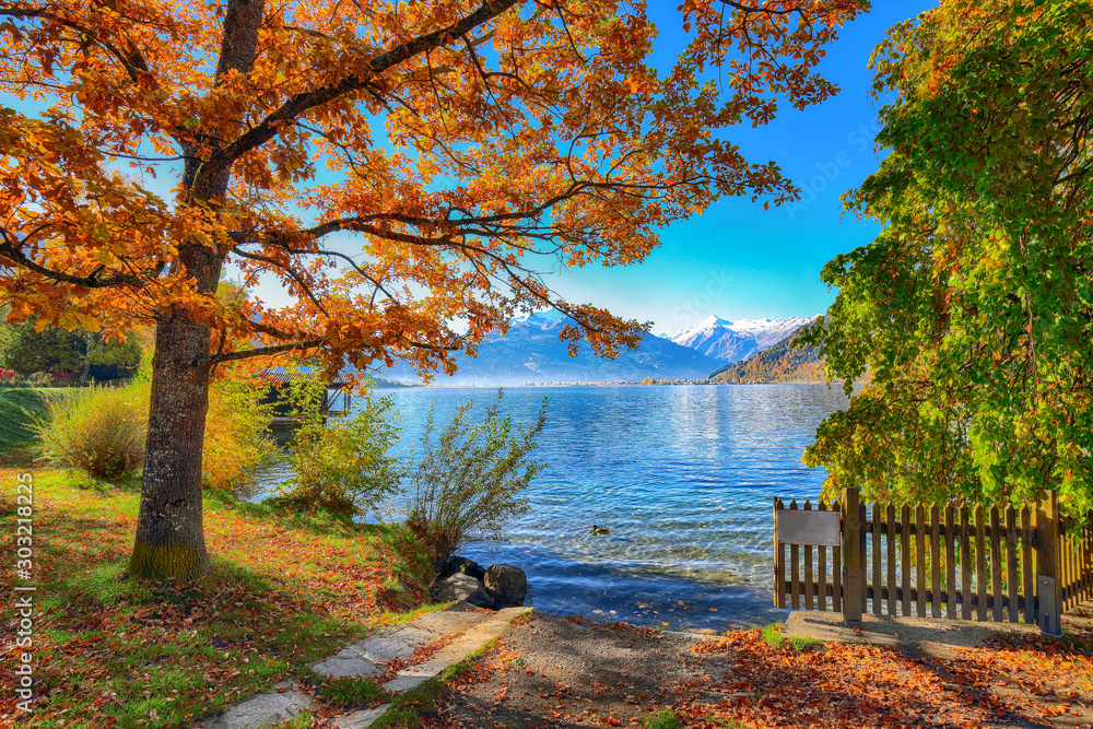 Spectacular autumn view of lake and trees in city park of Sell Am See - obrazy, fototapety, plakaty 