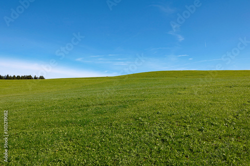 Gr  ne Wiese und blauer Himmel bei F  ssen im Allg  u