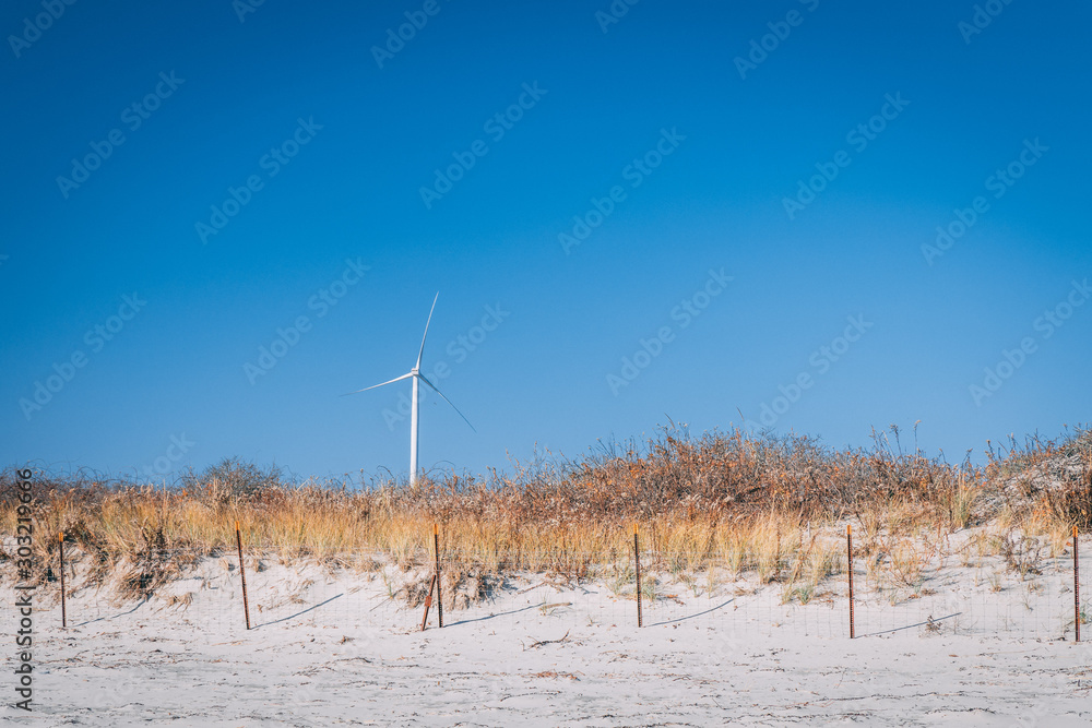 Fototapeta premium Windmill turbine on fenced beach in gloucester