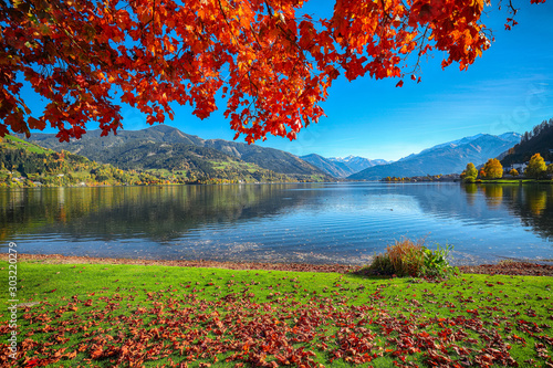 Fototapeta Naklejka Na Ścianę i Meble -  Spectacular autumn view of lake and trees in city park of Sell Am See