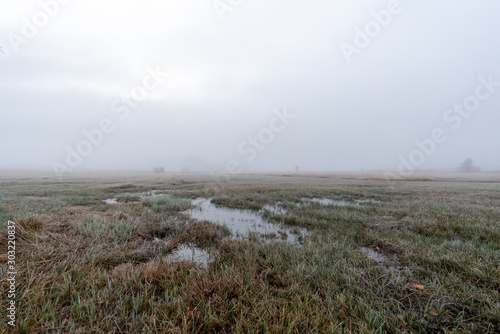 Landschaft im Nebel © David Klein