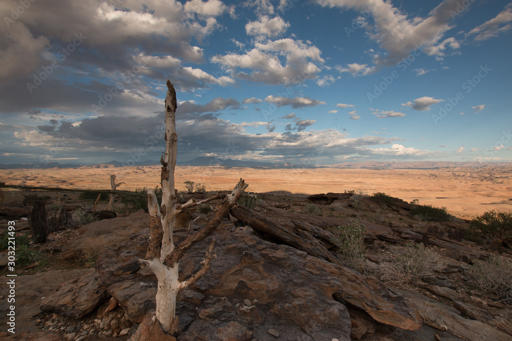 Ein Wolkanband teilt das Guab Valley in Namibia in Sonne und Schatten auf; ein toter Baumstamm im Vordergrund 