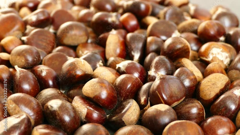 large amount of sweet raw chestnuts. forest products, natural chestnut, chestnuts cooked in a pan, large amount of sweet raw chestnuts. forest products, natural chestnut, chestnuts cooked in a pan,