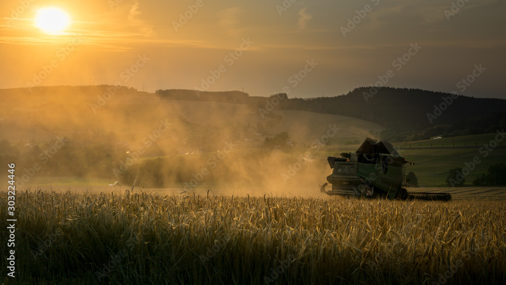 Fototapeta premium Mähdrescher im Sonnenuntergang