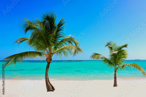 tropical beach with palm trees © aero-pictures.de