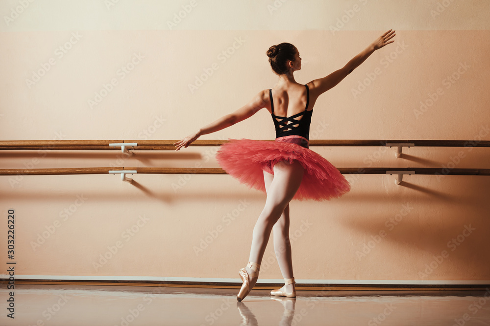 Obraz premium Rear view of ballerina rehearsing at ballet studio.