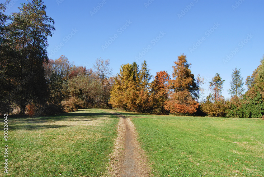 Trail throurh a meadow on a fall day Trail throurh a meadow on a fall day