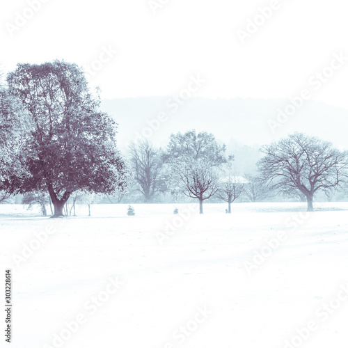 Autumn landscape with morning mist and a forest in the background. Monochrome