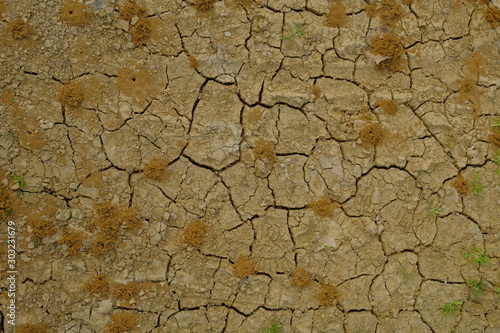 Background of a cracked arid ground with anthills Fototapeta