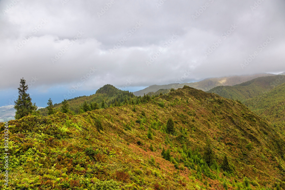 Foggy green landscape of Sao Miguel Island, Portugal Foggy green landscape of Sao Miguel Island, Portugal