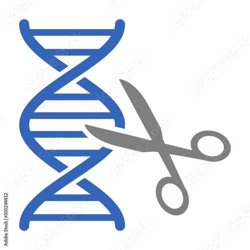 DNA gene / genome editing with scissors or eugenics flat vector color icon for science apps and websites