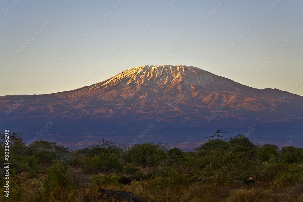 Mount Kilimanjaro -the roof of Africa, Tanzania - obrazy, fototapety, plakaty 