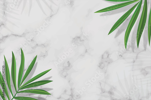 White Blank Rectangle template in white marble background on top view. decor by green palm leaves. for new product, promotion sale, banner, presentation, cosmetic, offer. copy space. Realistic Vector