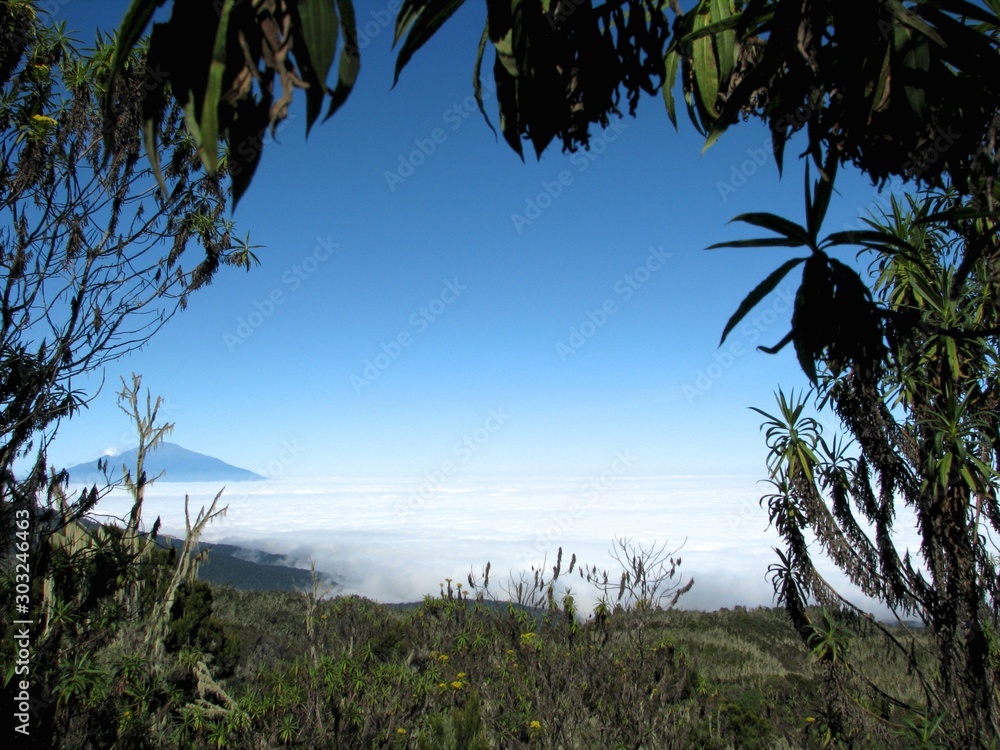 view of Mount Kilimanjaro - roof of Africa