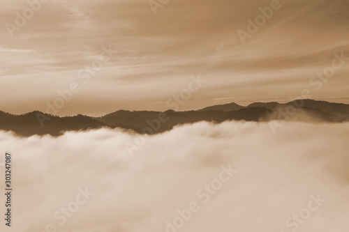 Sepia forest and mountains, landscape, fog and cloud mountain valley , Morning fog .