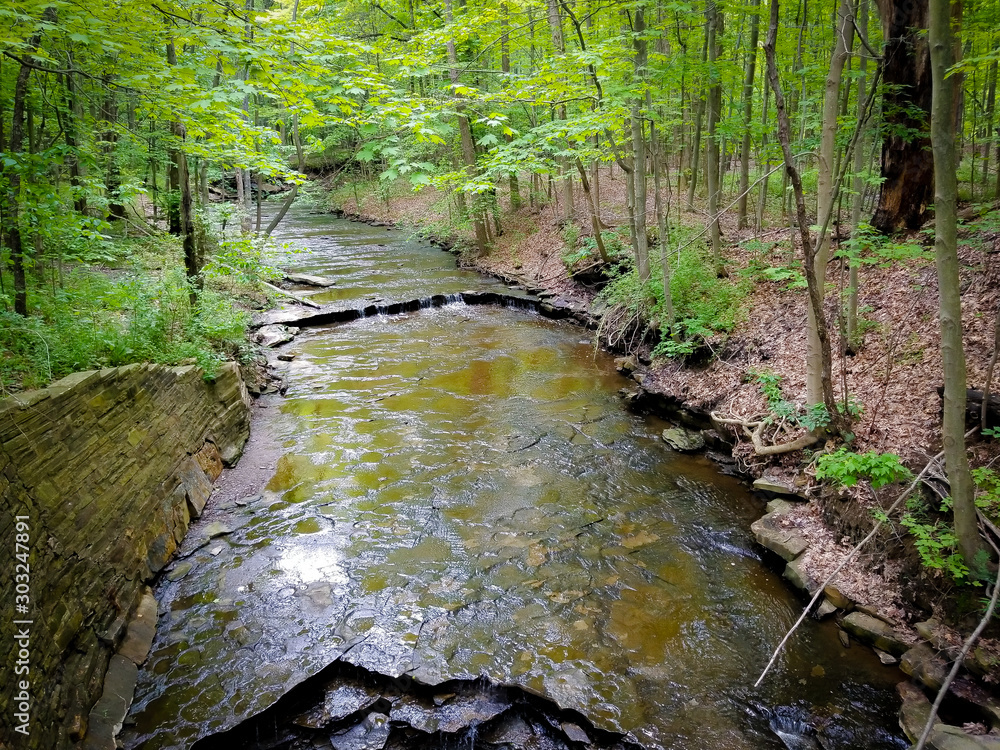 Obraz premium Stream in the middle of the woods of the Cleveland Metroparks in Ohio