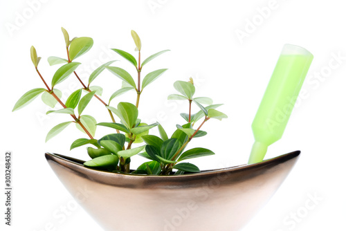 Plant Activator and foliage plant    観葉植物と活力剤