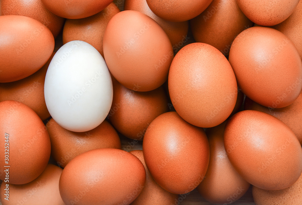 top view of one white egg surrounded by brown eggs, leadership and different concept top view of one white egg surrounded by brown eggs, leadership and different concept