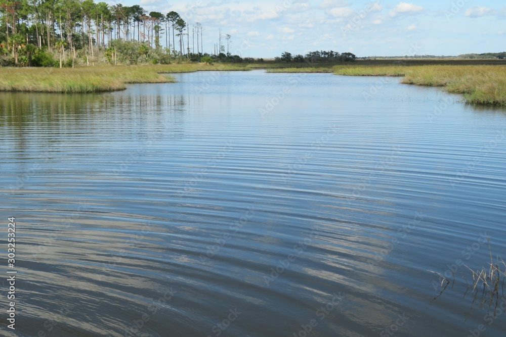 Fototapeta premium Beautiful view on the rivers and marshes of North Florida nature