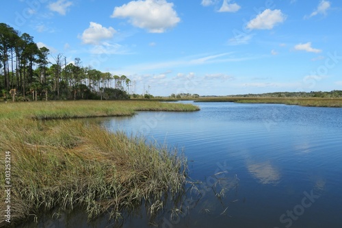 Beautiful view on the marshes and rivers of North Florida nature 