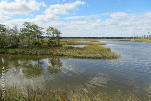 Beautiful view on the marshes and rivers of North Florida nature