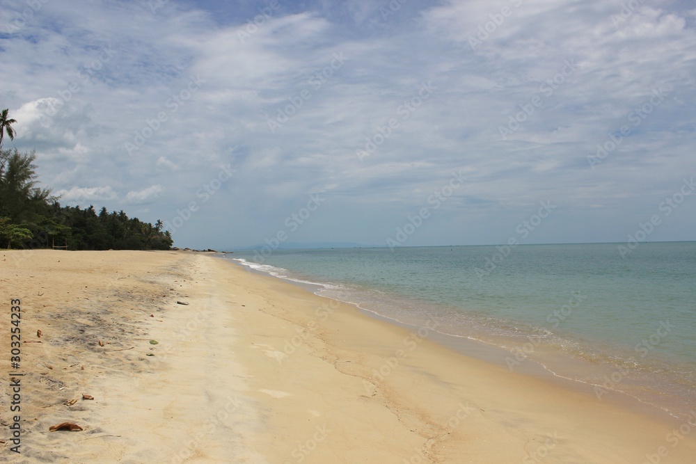 Fototapeta premium beach and sea